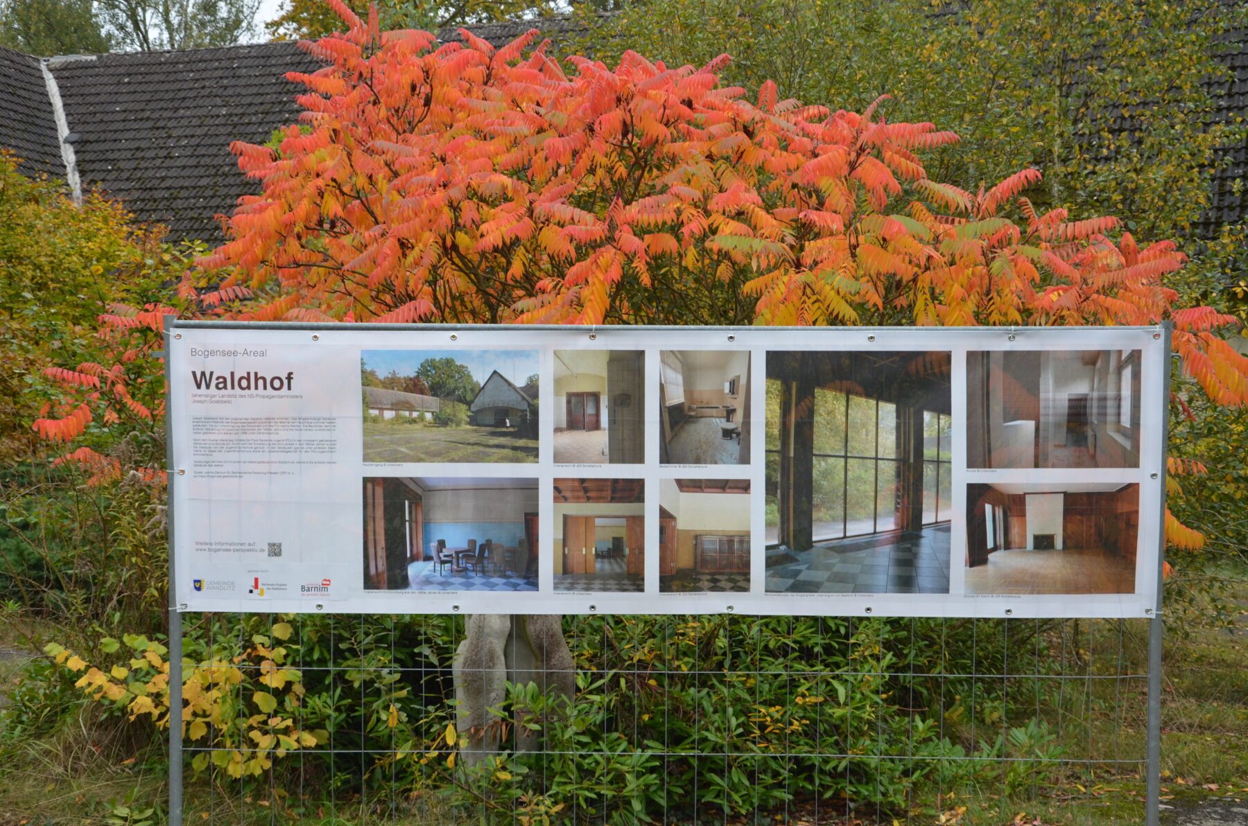 Ein Plakat hängt an einem Bauzaun vor einem Baum.